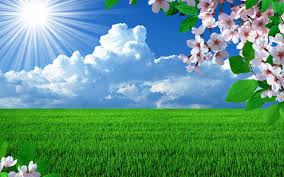 images-20