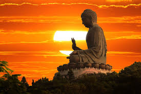 images-86