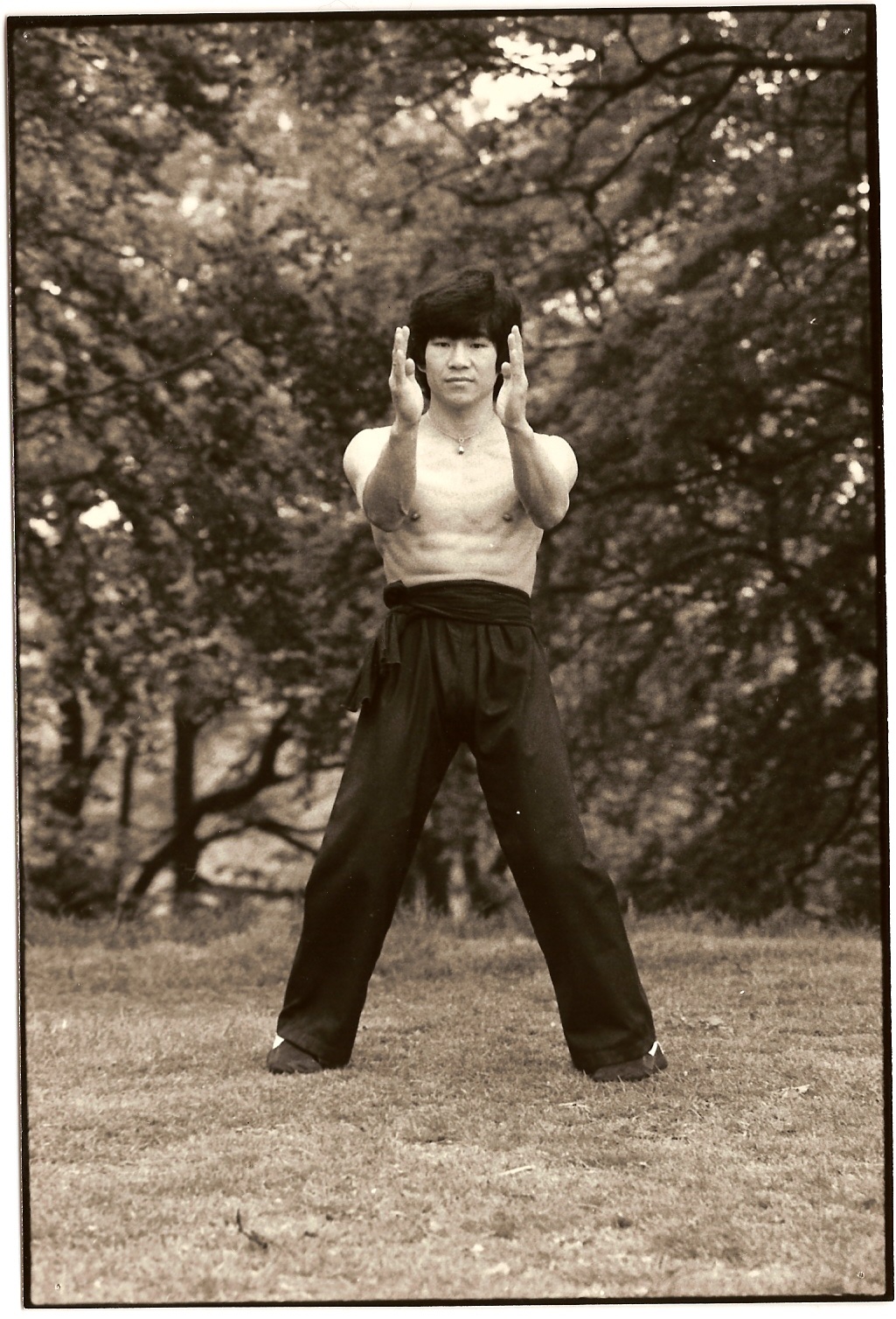 sl teaching-qigong